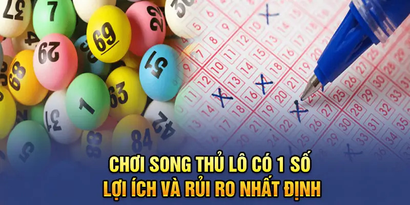 Chơi song thủ lô có 1 số lợi ích và rủi ro nhất định